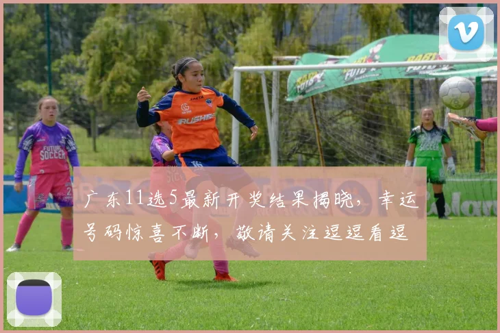 广东11选5最新开奖结果揭晓，幸运号码惊喜不断，敬请关注逗逗看逗逗笑逗逗赢